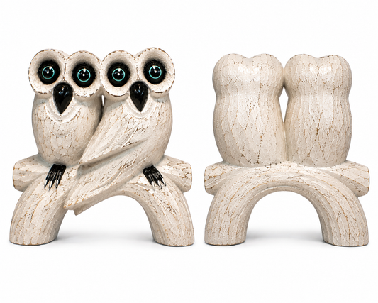Owls 🦉