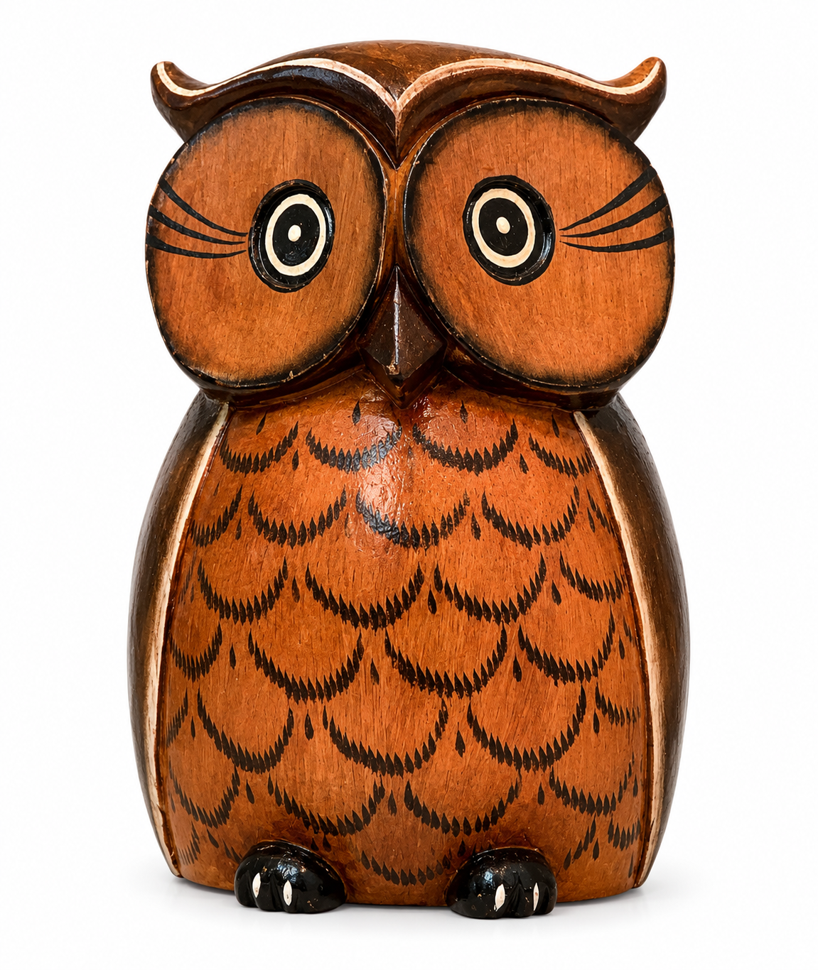 Owls 🦉
