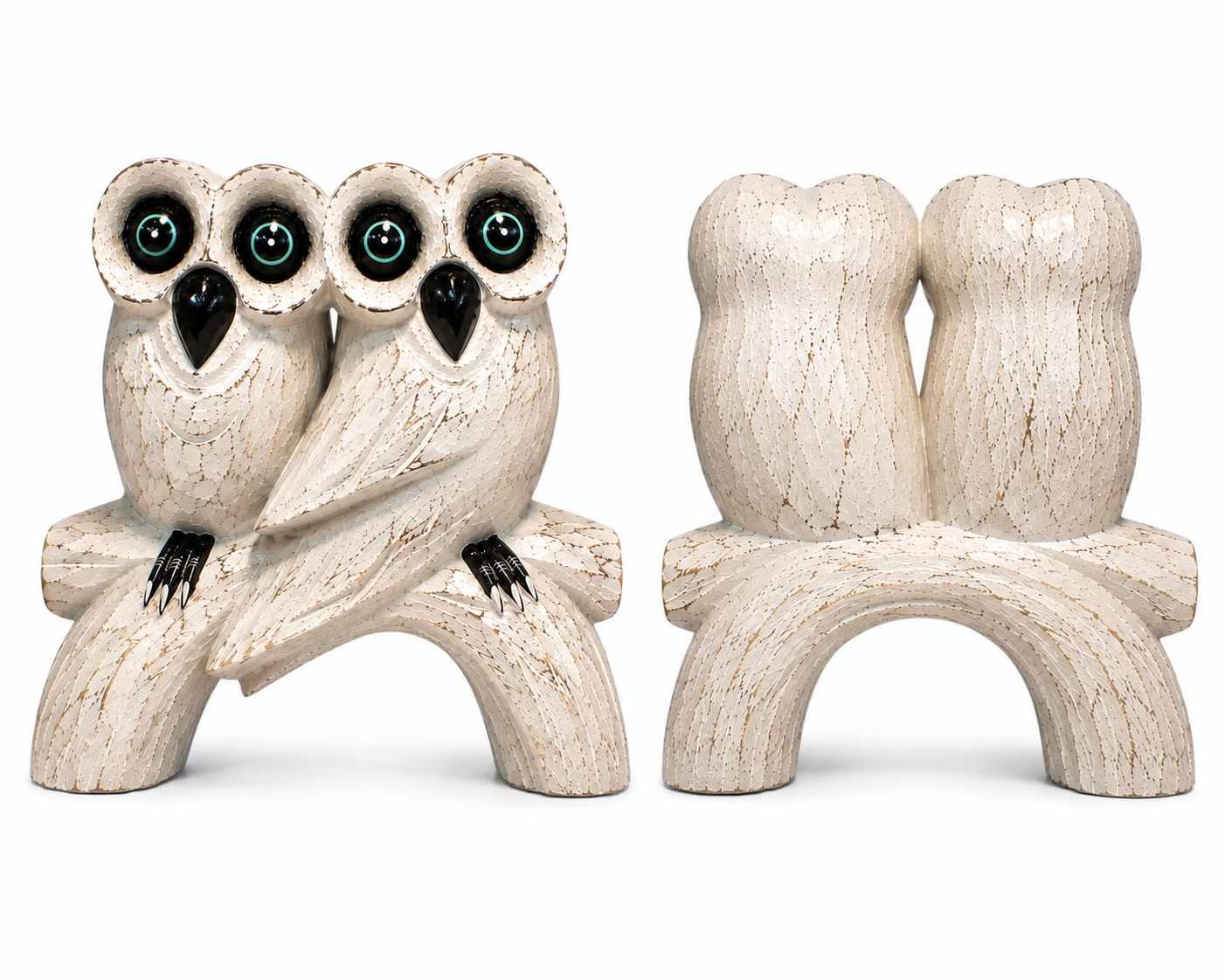 Owls 🦉