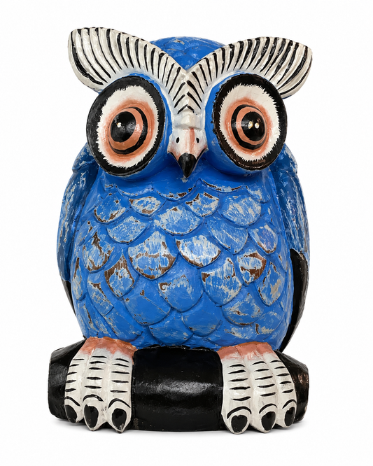 Owls 🦉