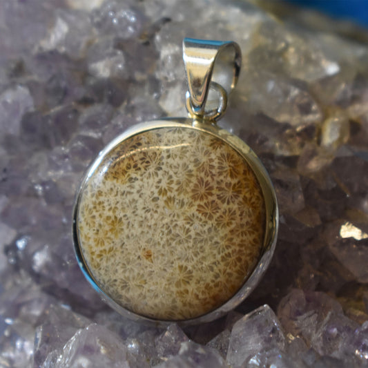 Ganesha Handicrafts Circle Shell Jasper pendant, Pendant, Jasper Pendant, Shell Pendant, Cicle Pendant, Shell Pendant, Design Pendant, Dollar